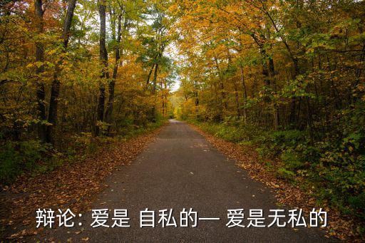 辯論: 愛是 自私的— 愛是無私的