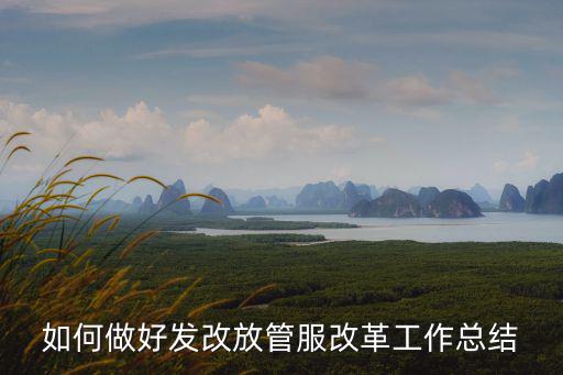 如何做好發(fā)改放管服改革工作總結(jié)