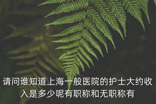 請問誰知道上海一般醫(yī)院的護(hù)士大約收入是多少呢有職稱和無職稱有