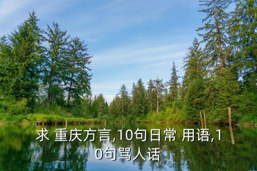 重慶話日常用語1000句,重慶人民最喜歡的29個字