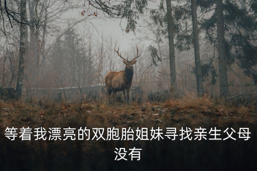 重慶市開縣被拐雙胞胎姐妹，善門口一對20歲左右的雙胞胎姐妹誰認識