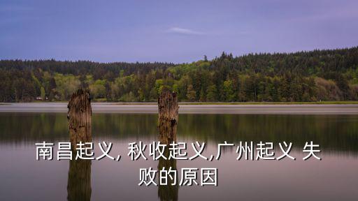 南昌起義, 秋收起義,廣州起義 失敗的原因