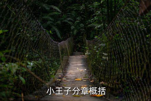  小王子分章概括