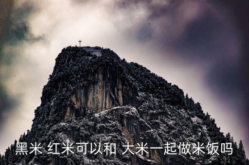 黑米 紅米可以和 大米一起做米飯嗎