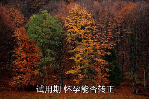 試用期懷孕,試用期懷孕是否成為正式員工取決于用人單位