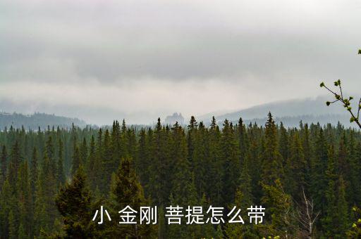 小 金剛 菩提怎么帶