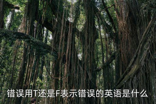錯誤英文,財富管理學院2020財富計劃