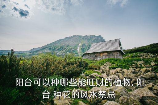 陽(yáng)臺(tái)種花,朝北陽(yáng)臺(tái):不怕烈日!適合種植不怕熱的花卉