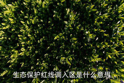生態(tài)保護(hù)紅線調(diào)入?yún)^(qū)是什么意思