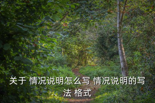 關于 情況說明怎么寫 情況說明的寫法 格式