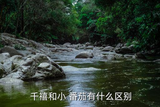千禧番茄,關(guān)于千禧水果你必須知道的3件事