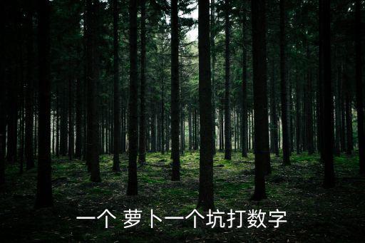 一個 蘿卜一個坑打數字
