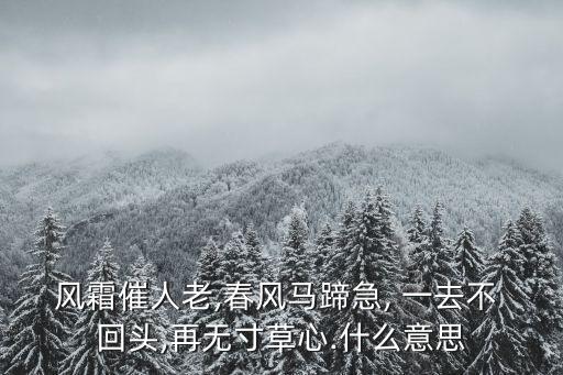 一去不回頭,等了你三年多你為何突然變了心