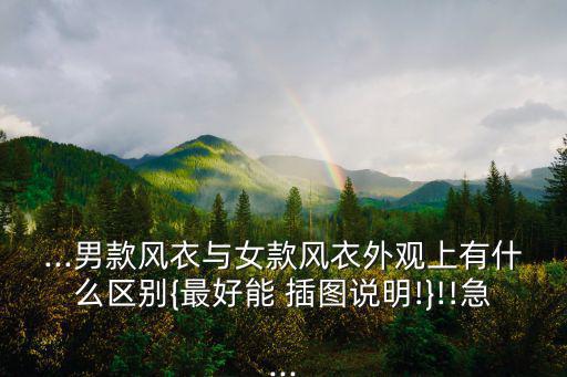...男款風衣與女款風衣外觀上有什么區別{最好能 插圖說明!}!!急...