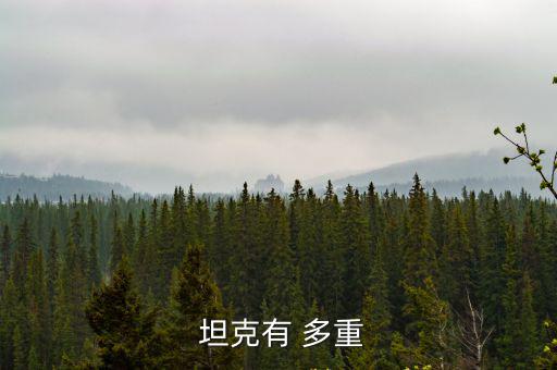  坦克有 多重