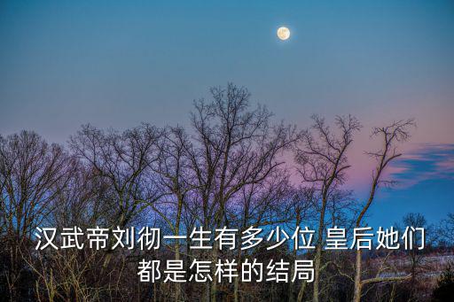 漢武帝的皇后,金屋藏嬌典故留給武漢漢武帝