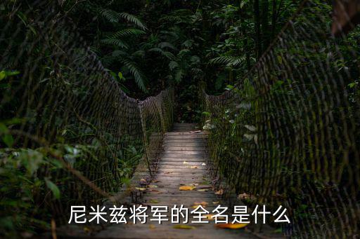 米尼茲，尼米茲將軍的全名是什么