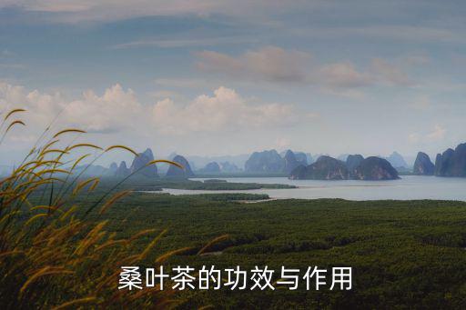 桑葉茶有那些功效,桑葉茶有助預防和治療感染
