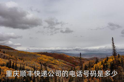 重慶順豐快遞公司的電話號碼是多少
