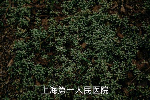 上海第一人民醫院