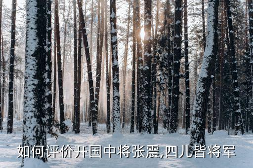 張震中將,長子、少將張小陽(解放軍外國語學院院長
