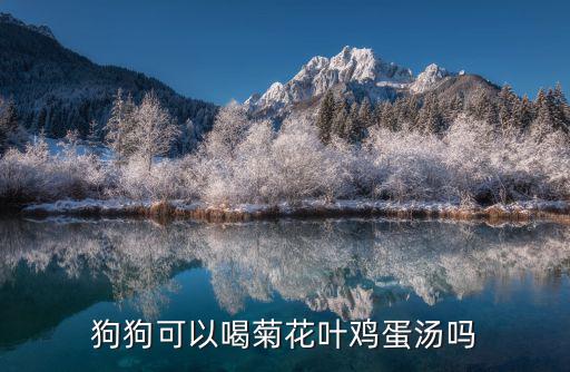 菊葉蛋湯,狗狗不能喝菊花葉雞蛋湯