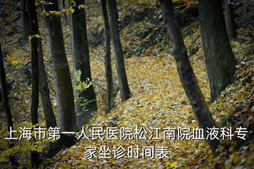上海市第一人民醫(yī)院松江南院血液科專(zhuān)家坐診時(shí)間表