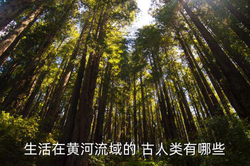 古人類,云南元謀人其實(shí)是靈長類動(dòng)物另一種類原始人在爭取優(yōu)勢