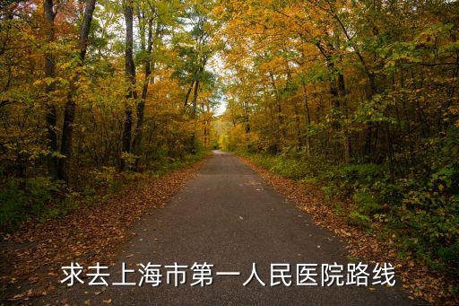 求去上海市第一人民醫院路線