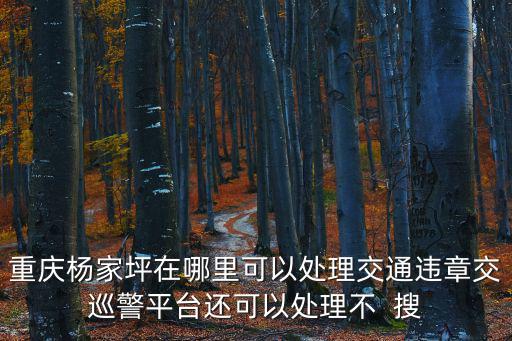 重慶楊家坪在哪里可以處理交通違章交巡警平臺還可以處理不  搜