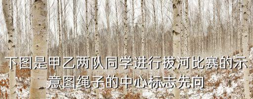 下圖是甲乙兩隊(duì)同學(xué)進(jìn)行拔河比賽的示意圖繩子的中心標(biāo)志先向