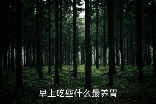 早上吃些什么最養(yǎng)胃