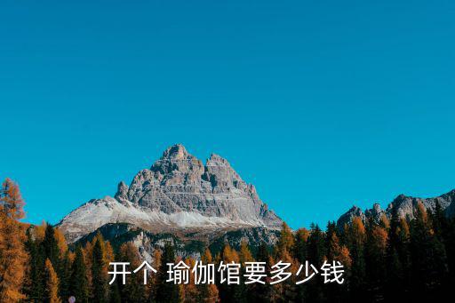 開瑜伽館,瑜伽博物館開業不用交稅憑發票就能開票