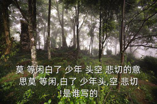 莫等閑白了少年頭空悲切的意思,空悲切:莫等閑，白少年頭