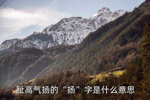 趾高氣揚(yáng)的近義詞,虧損滿滿收益不大等貶義詞組成趾高氣揚(yáng)句