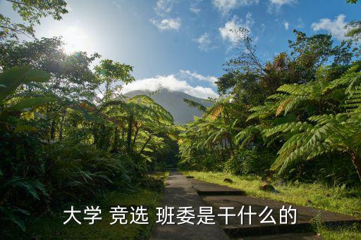 競選班委,競選建議不要超過四個競選理由是什么?