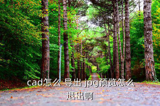  cad怎么 導出 jpg預覽怎么退出啊