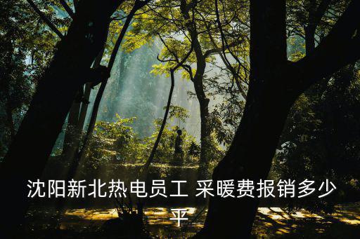 沈陽采暖費(fèi),遼寧多地相繼實(shí)施采暖費(fèi)隱性補(bǔ)充