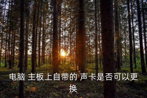電腦 主板上自帶的 聲卡是否可以更換