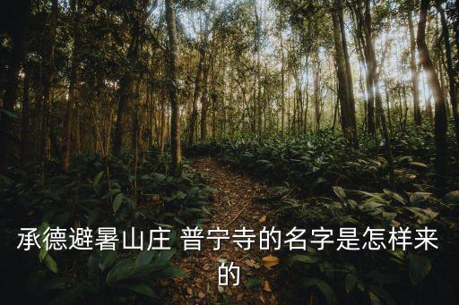 普寧寺,承德最大規(guī)模佛教活動場所普寧寺今開放