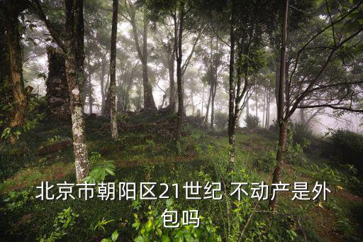 北京不動產,北京21世紀不動產比較正規是中介公司