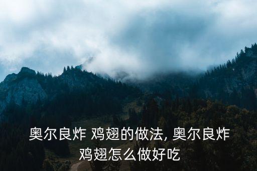  奧爾良炸 雞翅的做法, 奧爾良炸 雞翅怎么做好吃