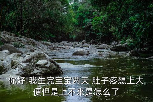 你好!我生完寶寶兩天 肚子疼想上大便但是上不來是怎么了