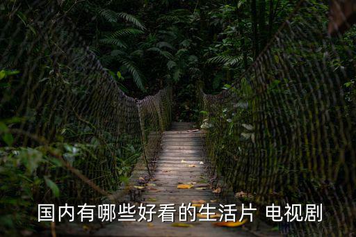 國(guó)內(nèi)電視劇,《人民的名義》第二季:最經(jīng)典最美反腐劇
