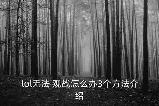  lol無法 觀戰怎么辦3個方法介紹