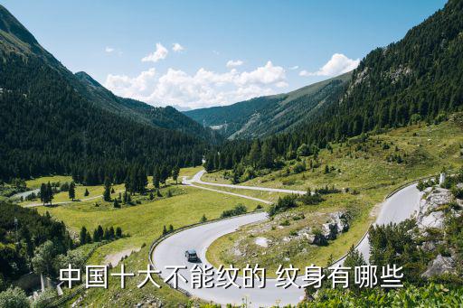 中國紋身,十大不能紋身的東西包括烏龜和白鶴