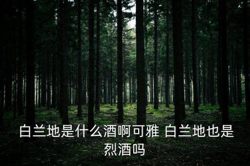 白蘭地度數,白蘭地40度相當于酒精度數約40%
