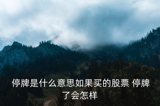 股市停牌,股票價格連續上漲或下跌證券交易所暫停其交易