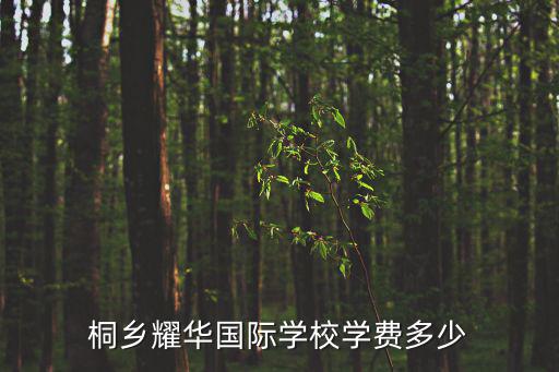 桐鄉耀華國際學校學費多少