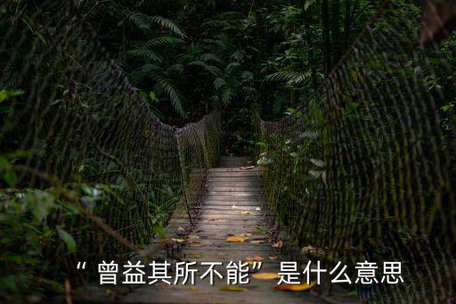 曾益其所不能的曾,選人才能擔(dān)任大任?